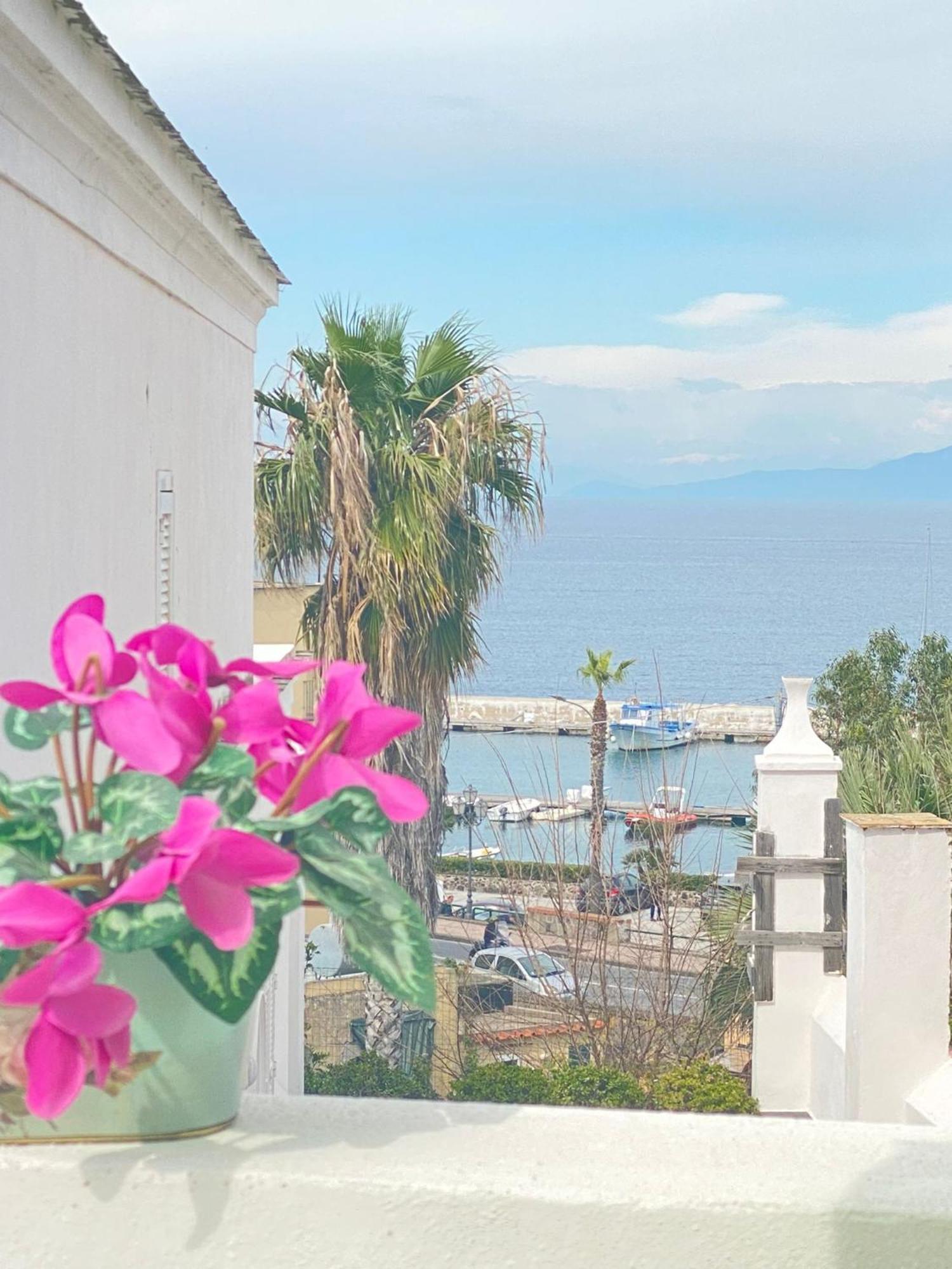 Euploia Apartment イスキア島 エクステリア 写真